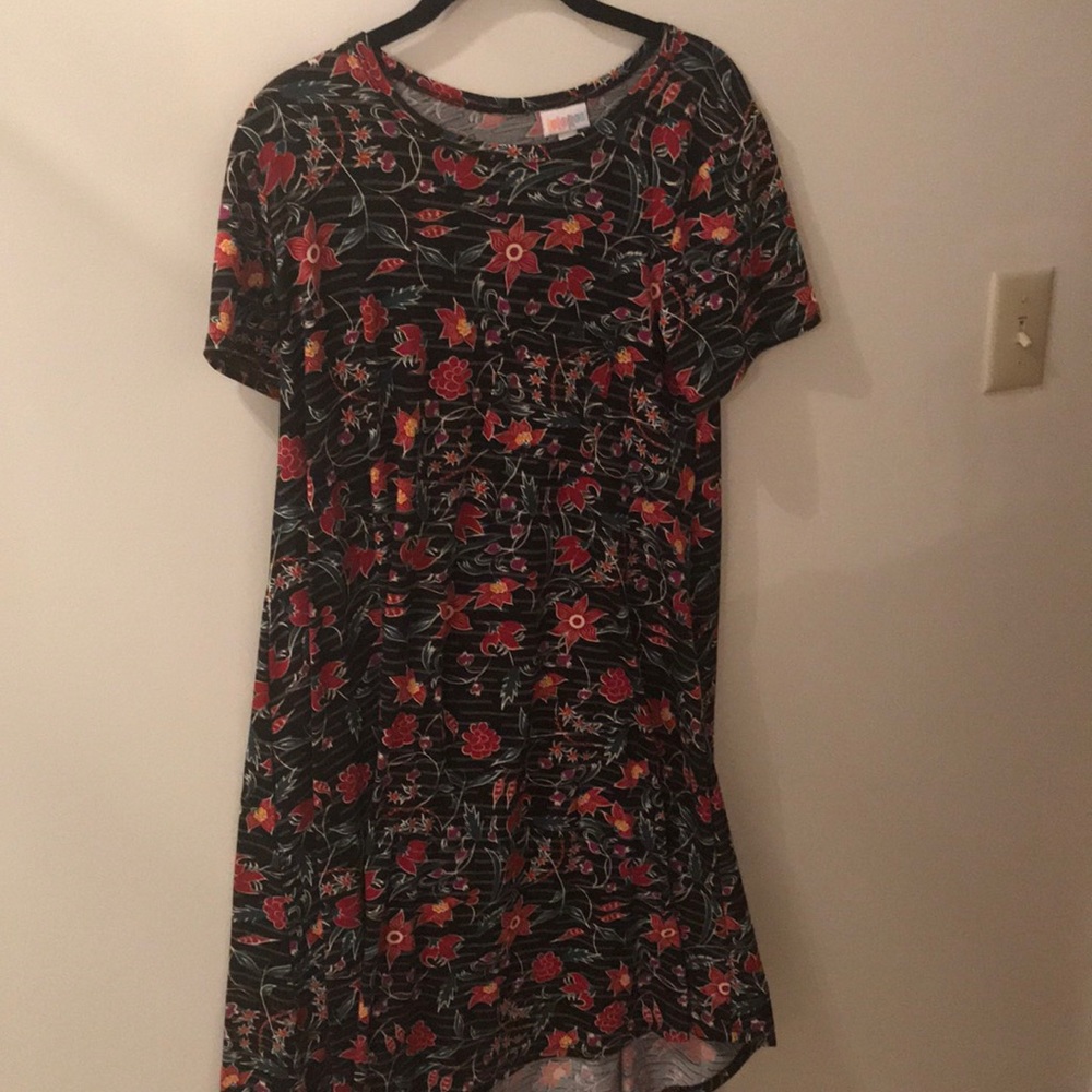 Lularoe Carly dress size small